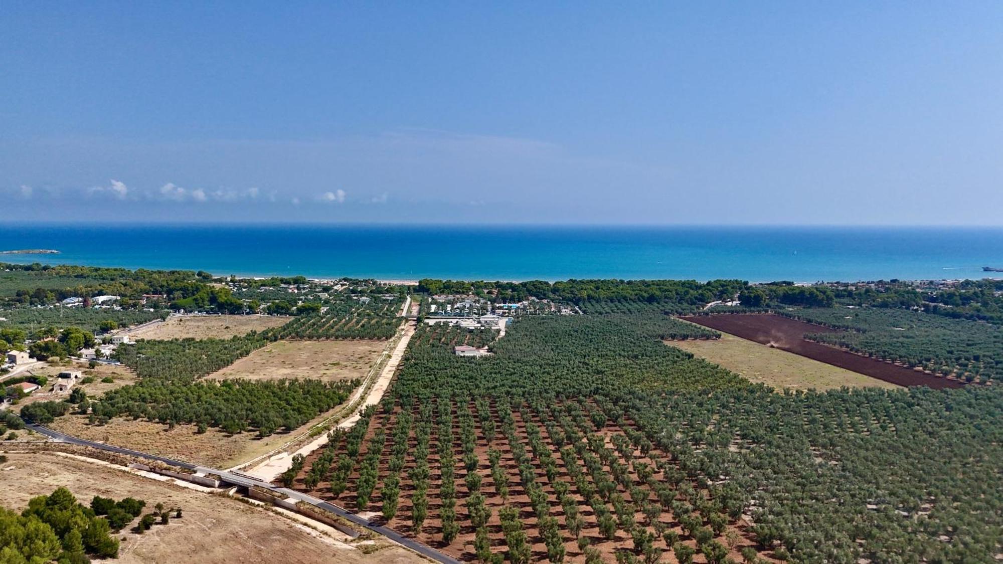 Villa Amica Vieste Kültér fotó